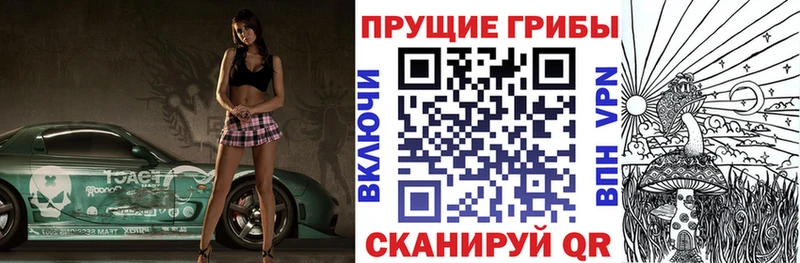 kraken как войти  наркотики  даркнет какой сайт  Галлюциногенные грибы мицелий  Лыткарино 