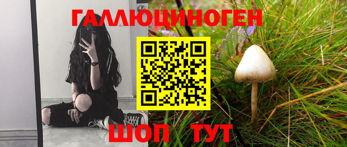 Псилоцибиновые грибы Psilocybine cubensis  Вход с VPN  Лыткарино  Галлюциногенные грибы MAGIC MUSHROOMS 